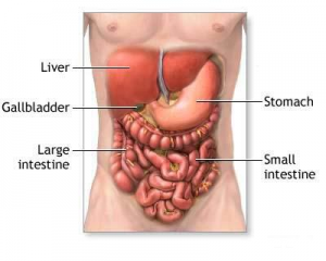 Listen To Your Colon Look Good Feel Great Always