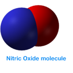 Nitric Oxide : The Body's Wonder Molecule | Look Good Feel Great Always